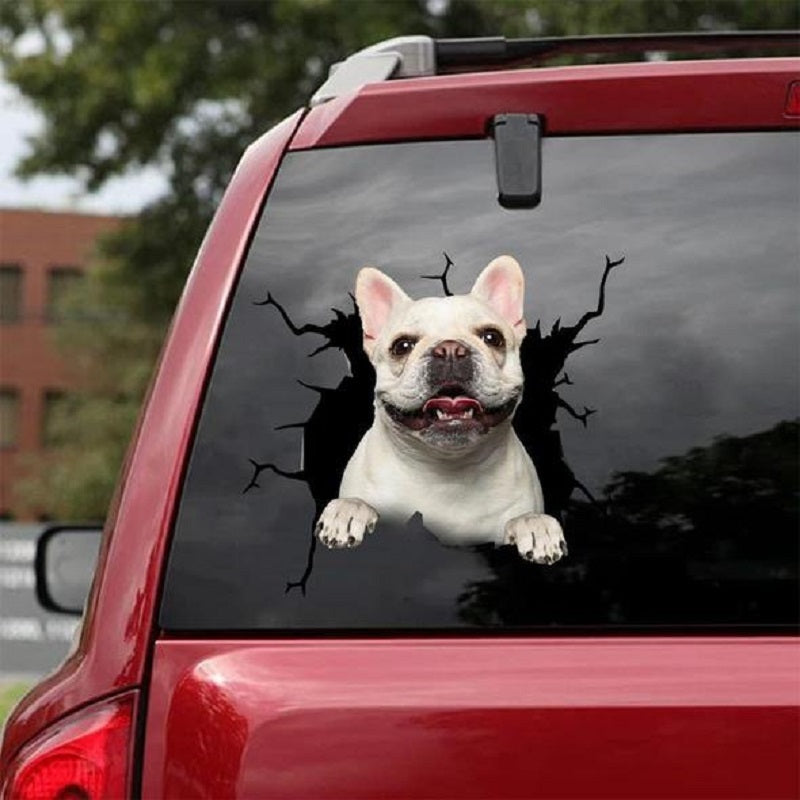 3D Animal Peeking Car Stickers