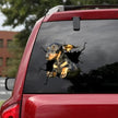 3D Animal Peeking Car Stickers