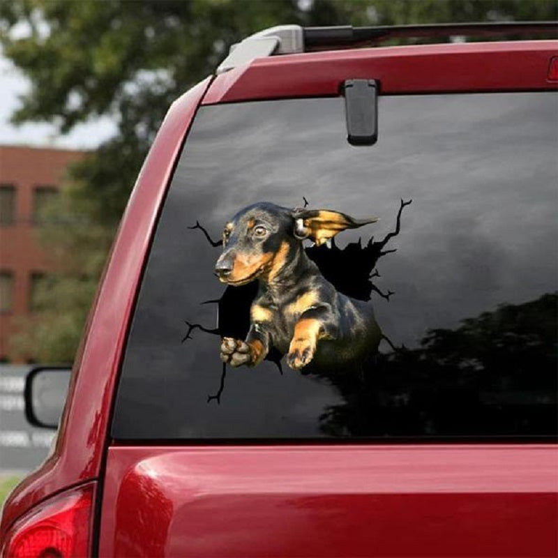 3D Animal Peeking Car Stickers