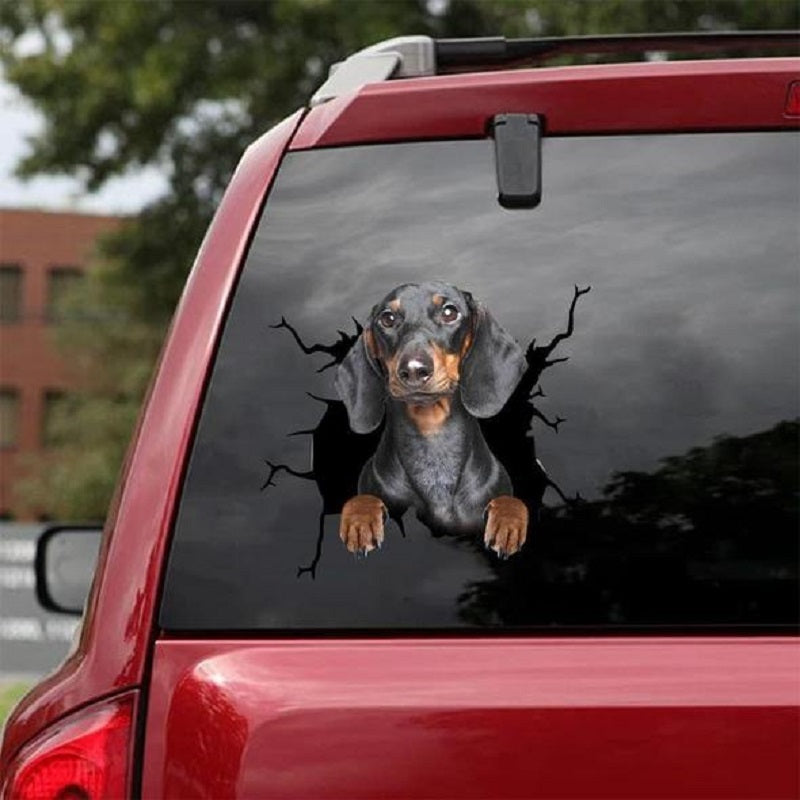 3D Animal Peeking Car Stickers