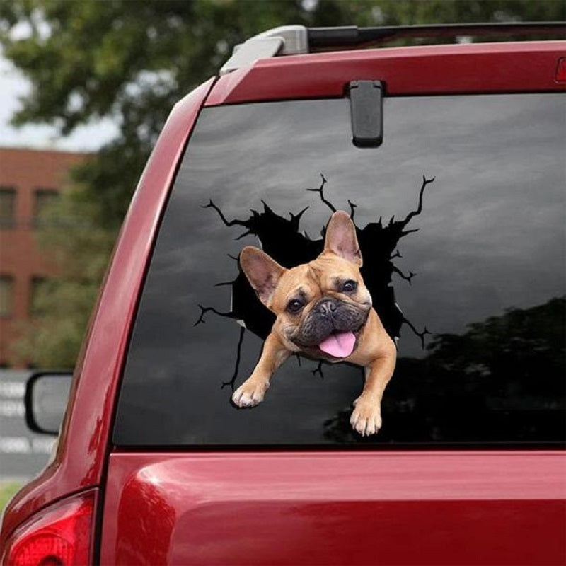 3D Animal Peeking Car Stickers