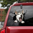 3D Animal Peeking Car Stickers