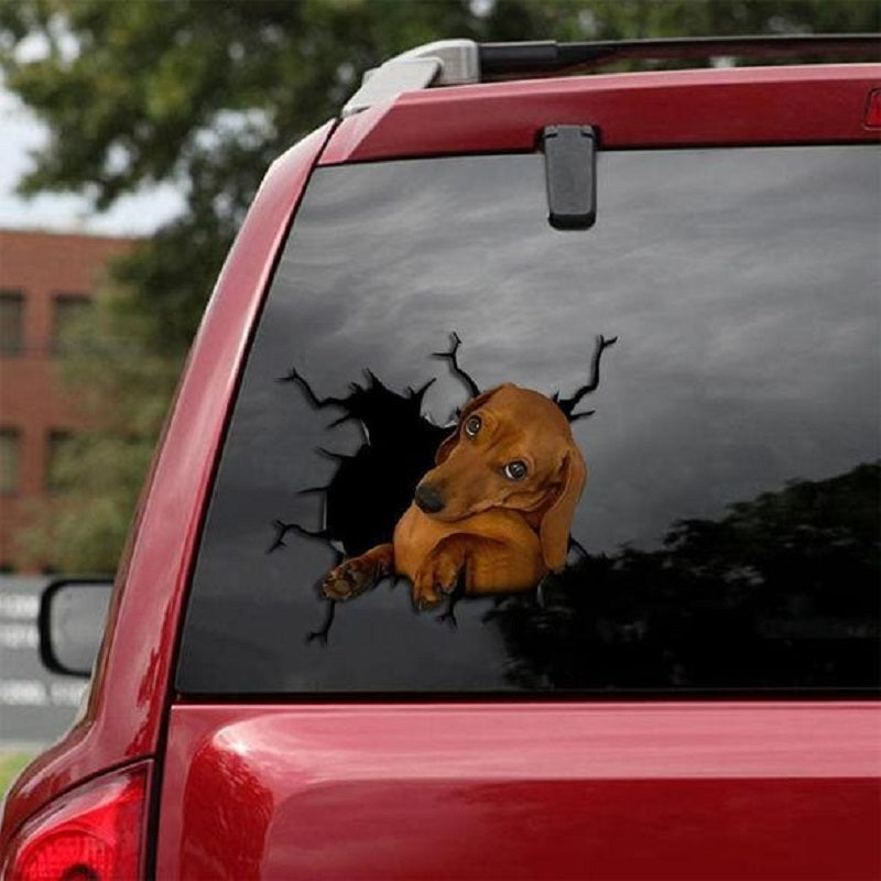 3D Animal Peeking Car Stickers