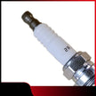 Renault R5 Spark Plug